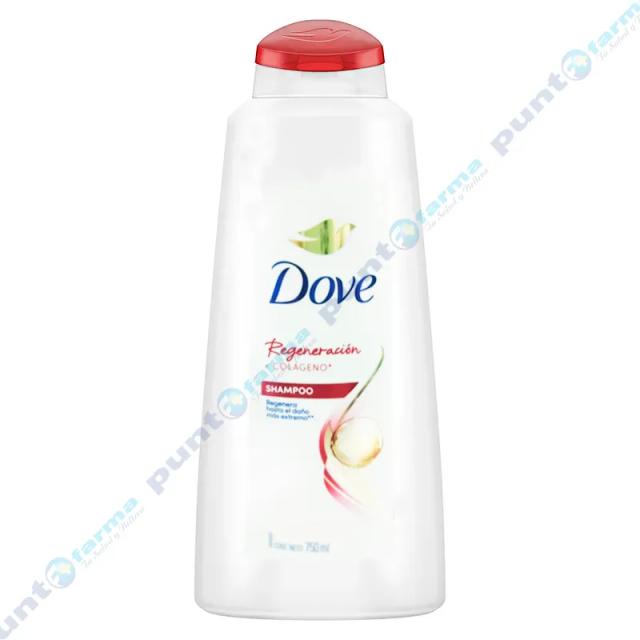 Image miniatura de 215048-1.png-62522.webp