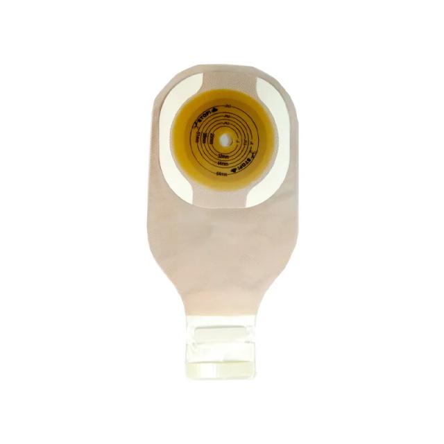 Image miniatura de 242402-1.png-60671.webp