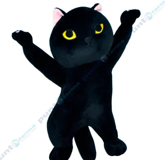 Image miniatura de 243305-1.png-62272.webp