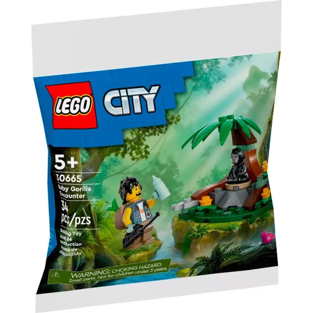 Image miniatura de 243713-2.png-62996.webp