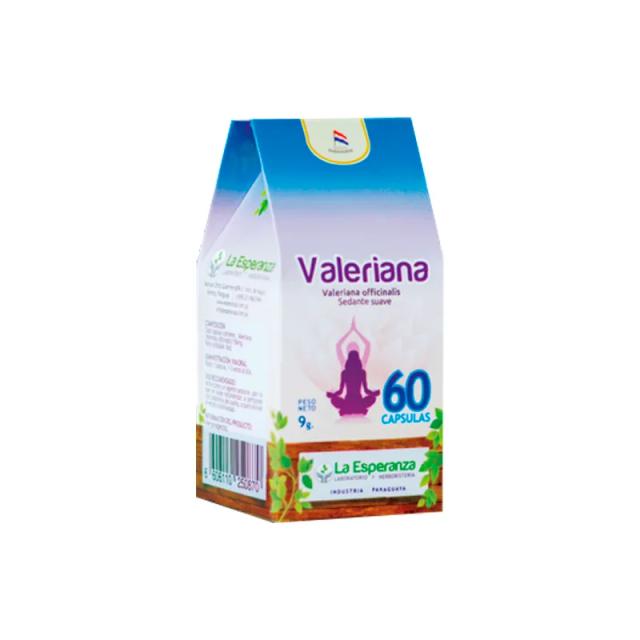 Image miniatura de 250687-1.png-65778.webp