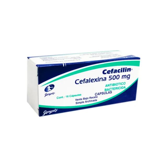 Image miniatura de 256474-1.png-67070.webp