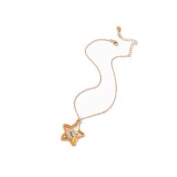 Collar Estrella Claires