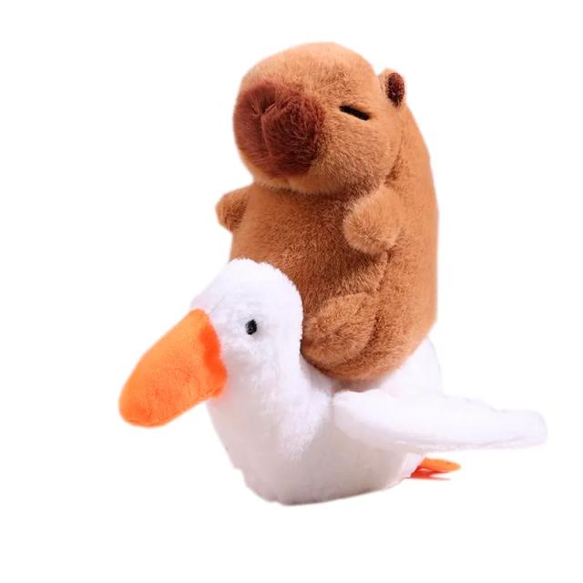 Image miniatura de 275046-1.png-73023.webp