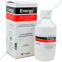 Energy Fort - 240 mL