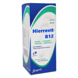 Hierrovit B12 - Jarabe 240 mL