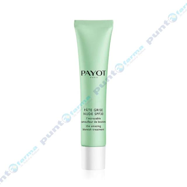 Image miniatura de Pate-Grise-Nude-SP30-Payot-40-mL-39235.webp