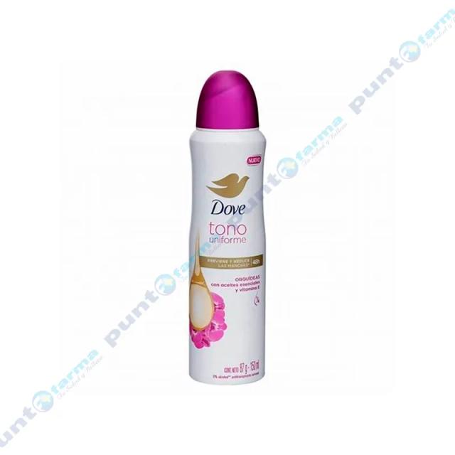 Image miniatura de 244588-1.png-64141.webp