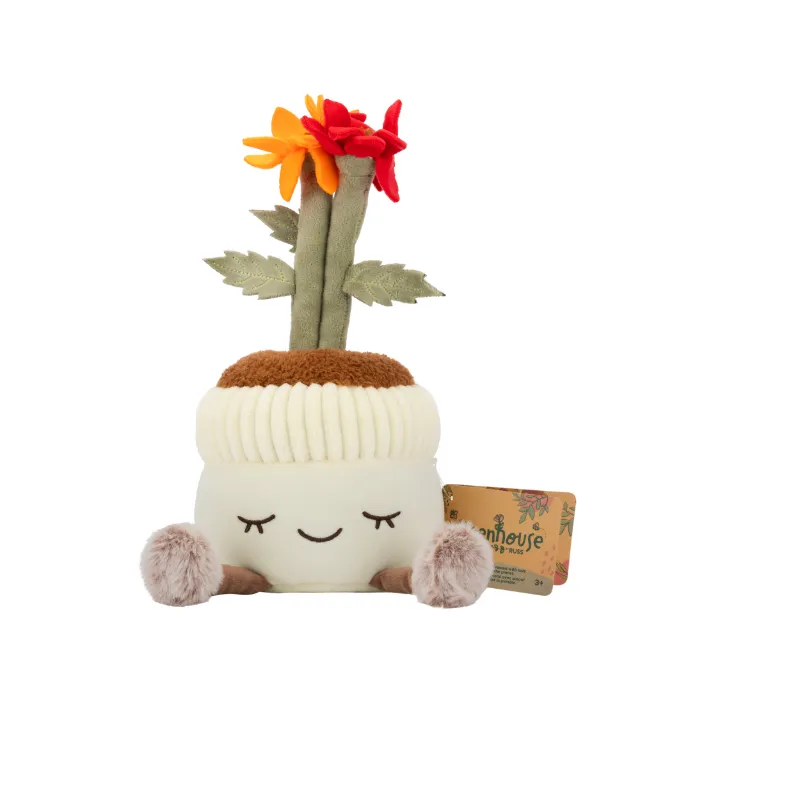 Maceta Con Margarita Mixta Jazwares Greenhouse