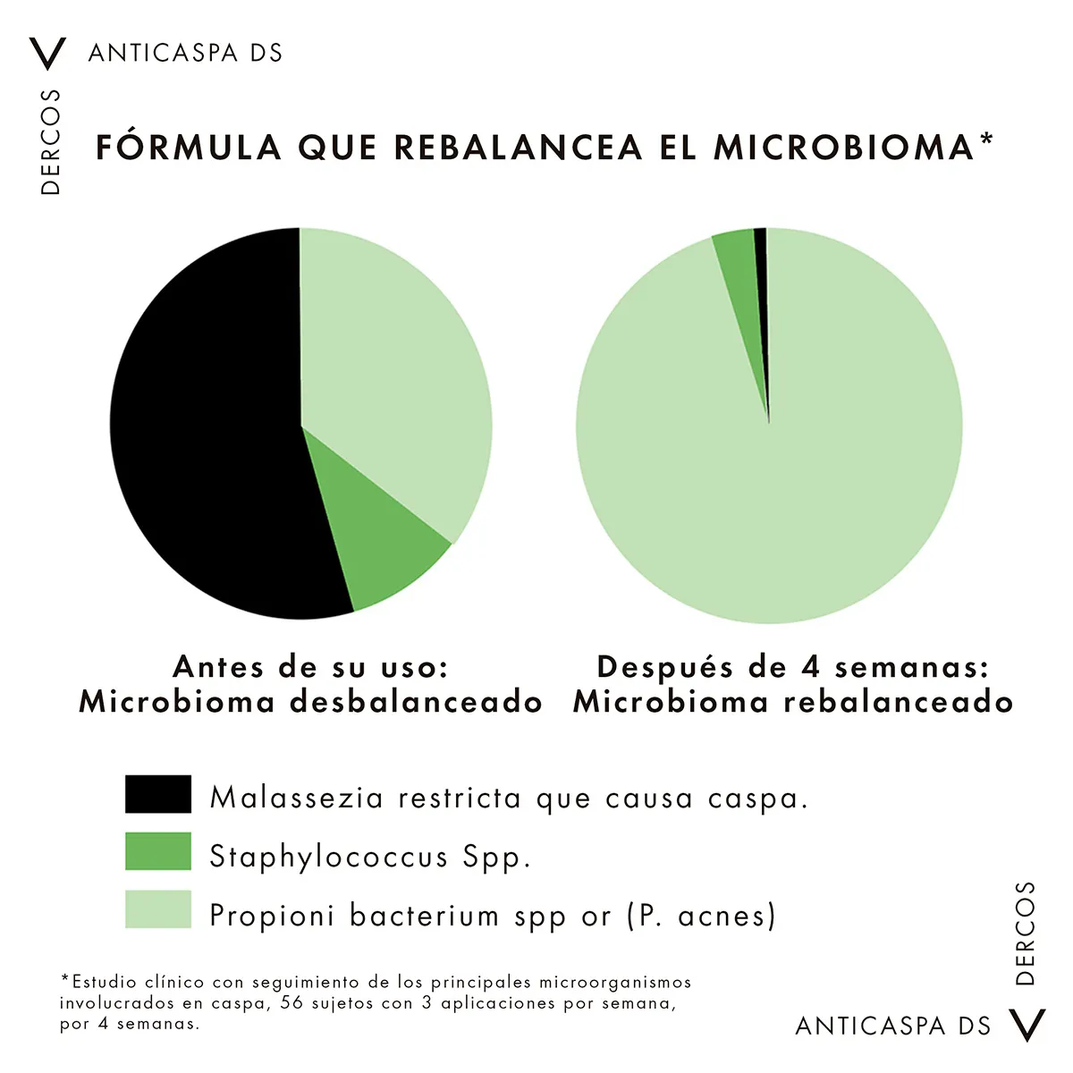 Image miniatura de 241166-11.jpg-84019.webp