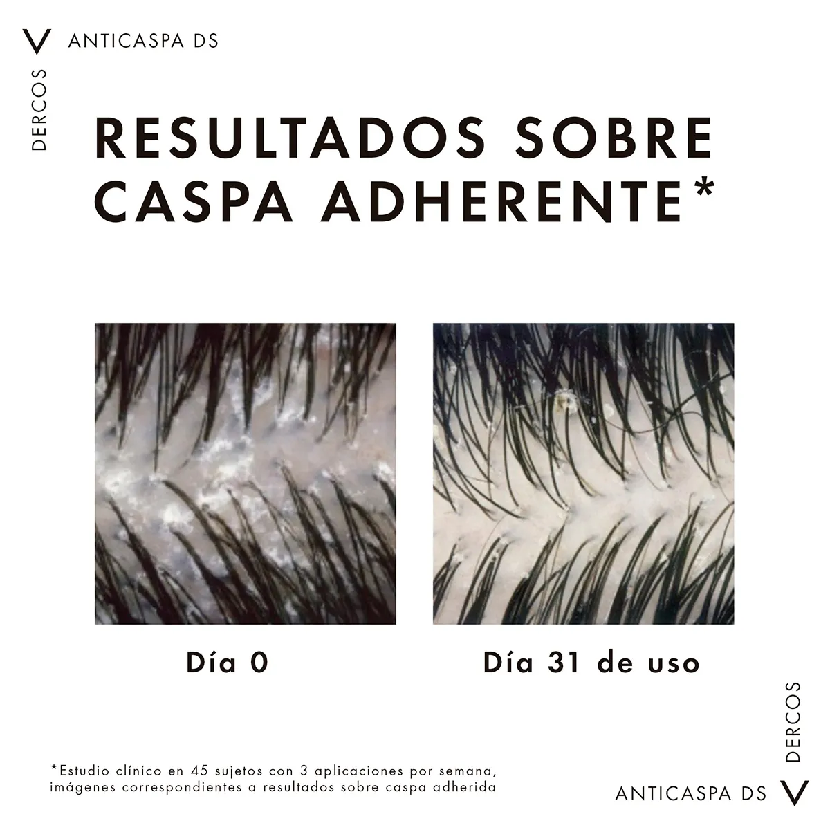Image miniatura de 241166-5.jpg-84013.webp