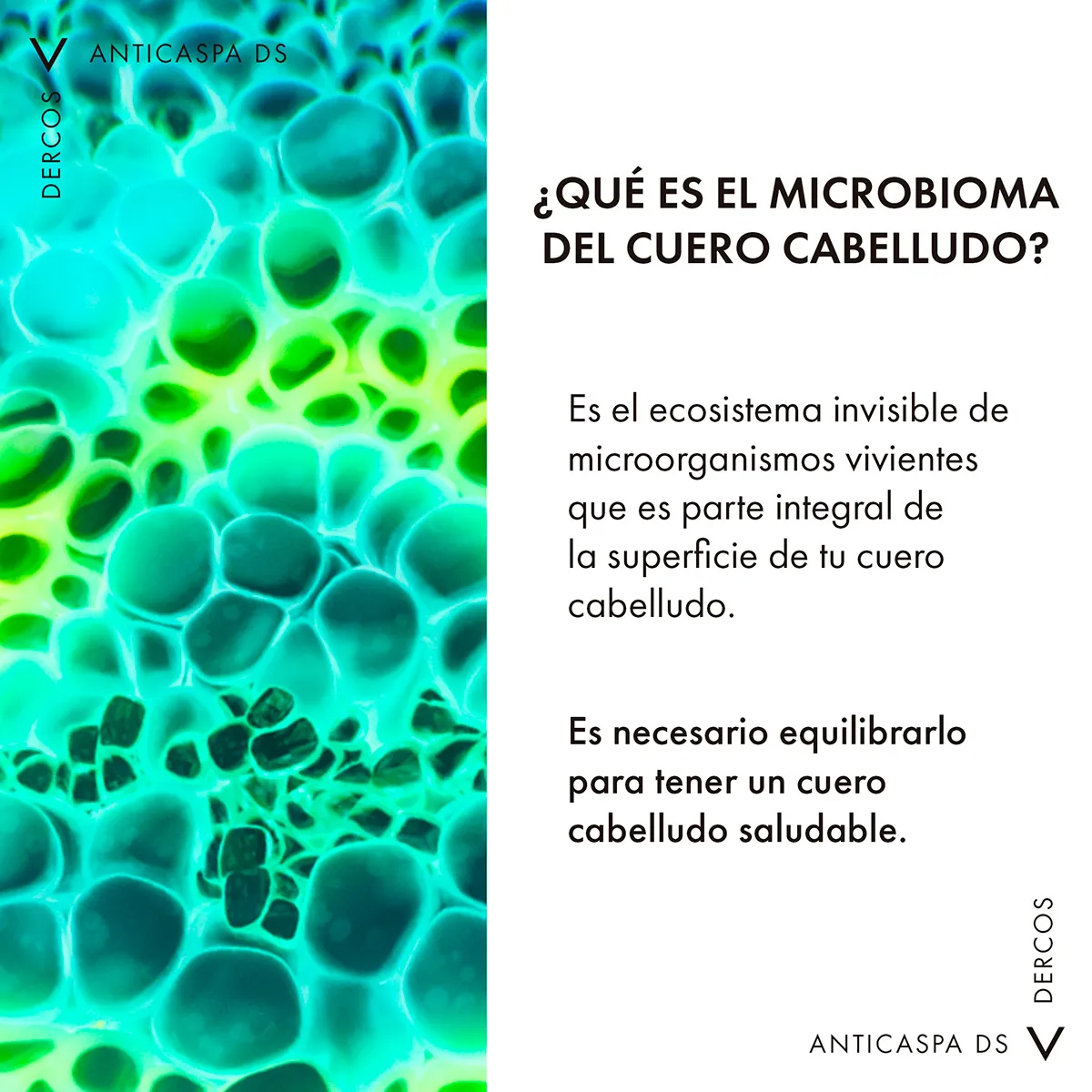 Image miniatura de 241166-7.jpg-84015.webp