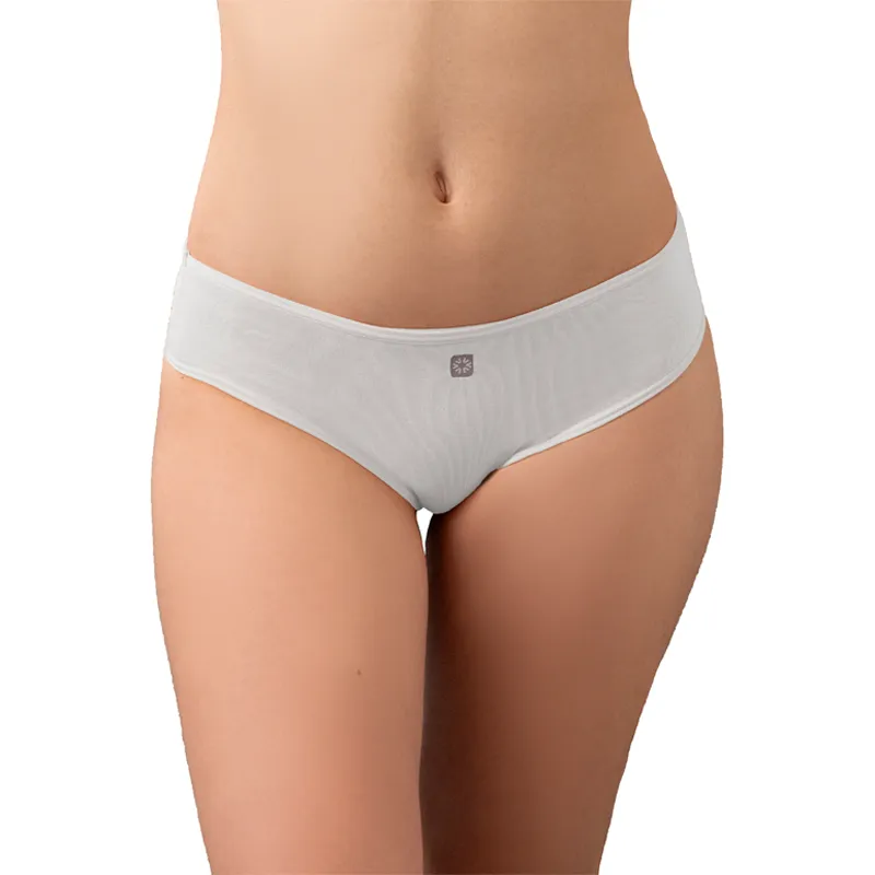 Image miniatura de 250839-2.png-70115.webp