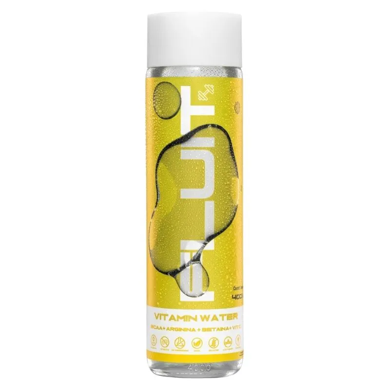 bebida analcohólica vitaminada fluit core bcaa - cont. 400 ml