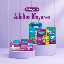 https://www.puntofarma.com.py/imagenes/public/images/Cuidadod_adulto_mayor-103029-web.webp