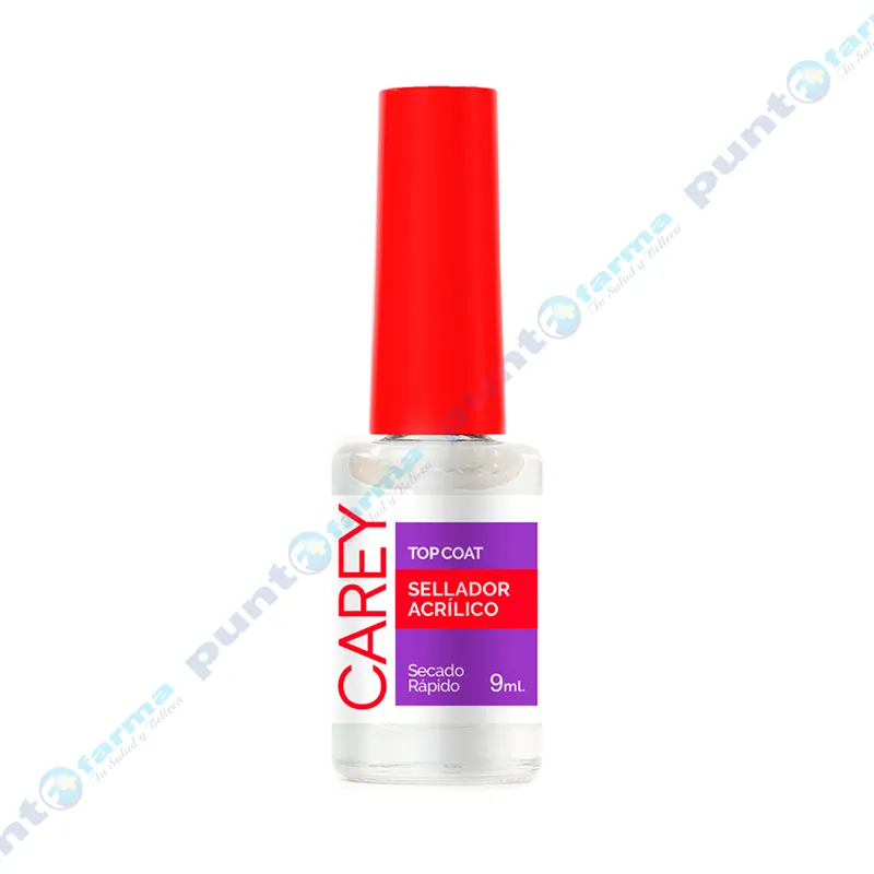 Sellador Acrílico Top Coat Carey